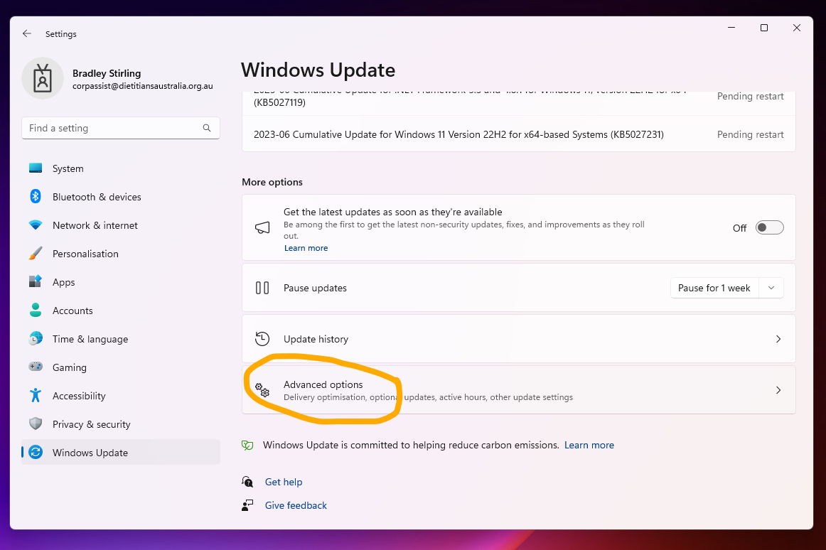 advanced options.png